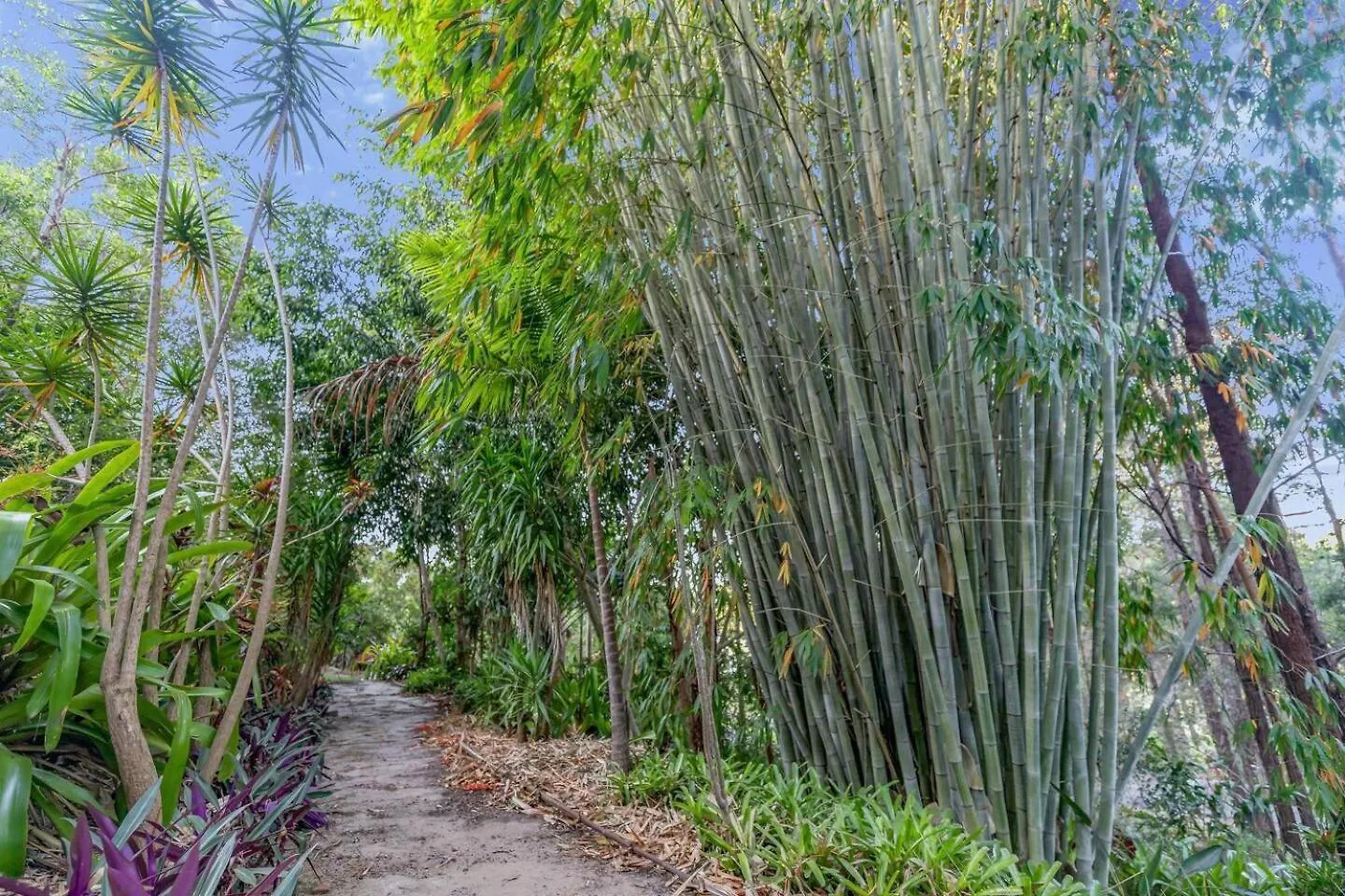 Winter Is Here! Enjoy Exclusive Access For 9, Cozy Media Room, Acreage Estate In Magical Sunshine Coast Mooloolah 0*,  Αυστραλία
